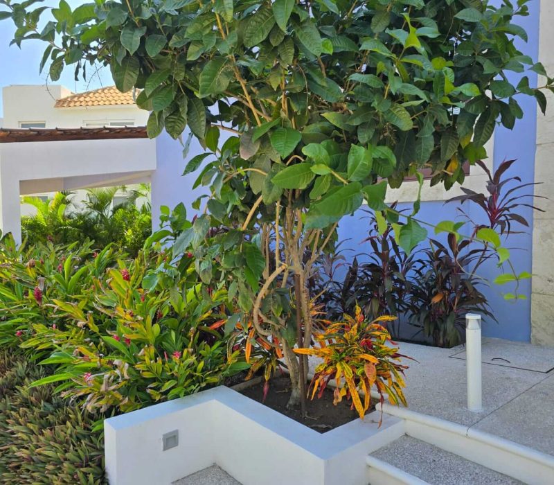 EXTERIOR 3