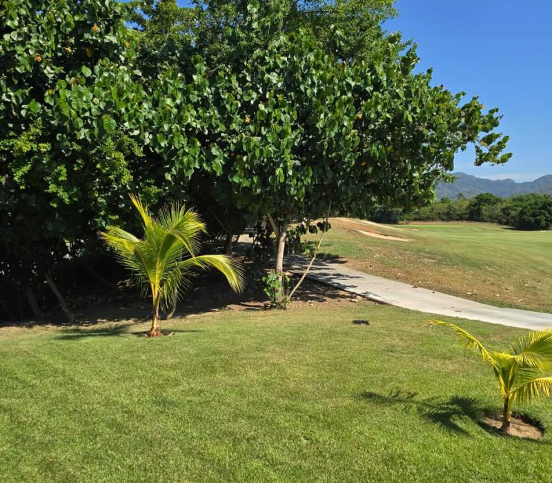 JARDÍN 19-6