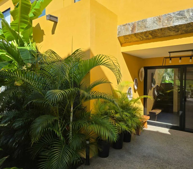 JARDÍN 2