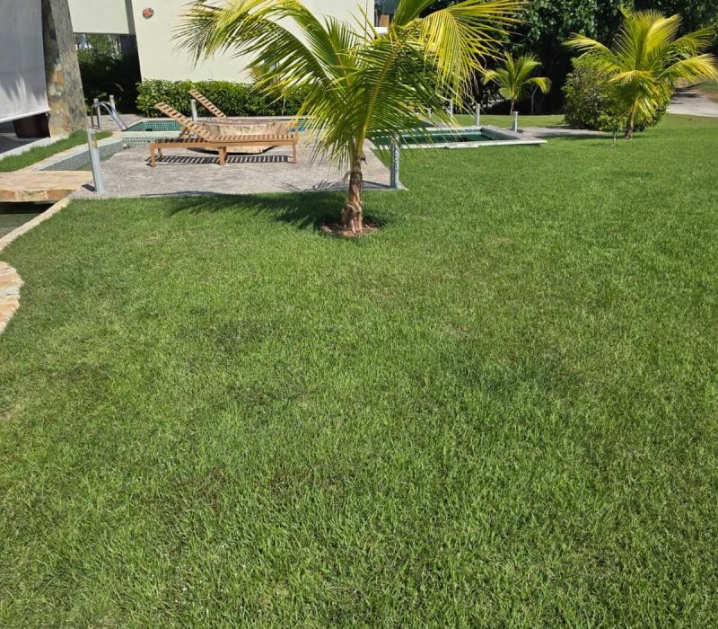 JARDÍN C-19-1