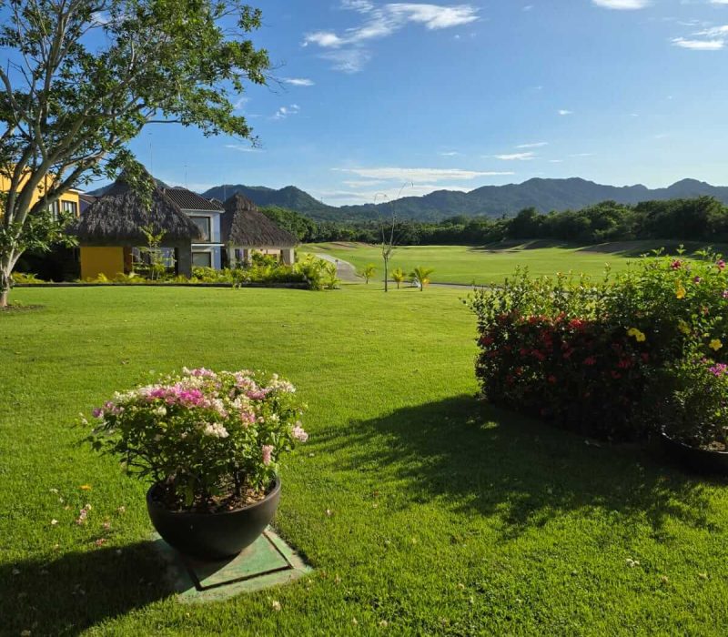 Jardín 1