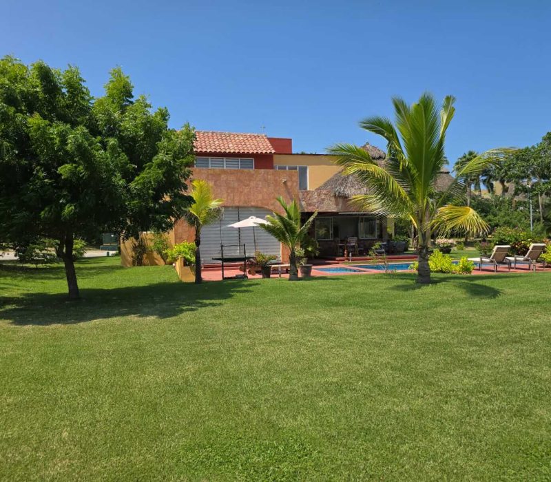 Jardin 4