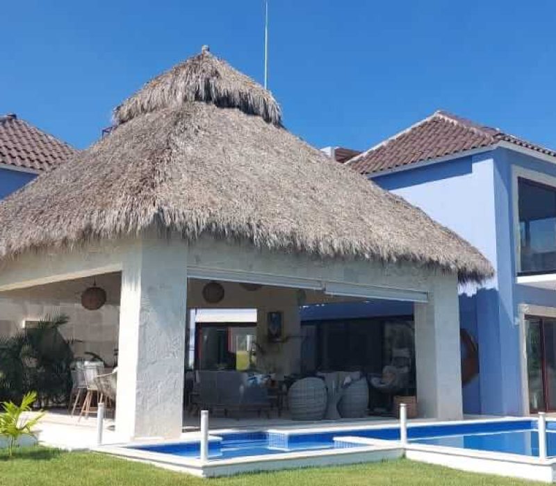 PALAPA 1