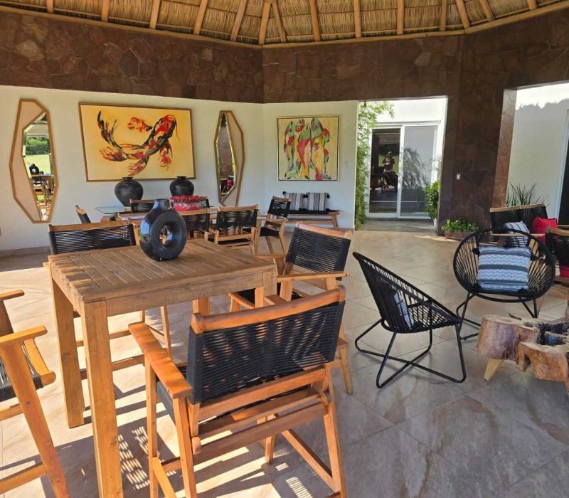 PALAPA 1