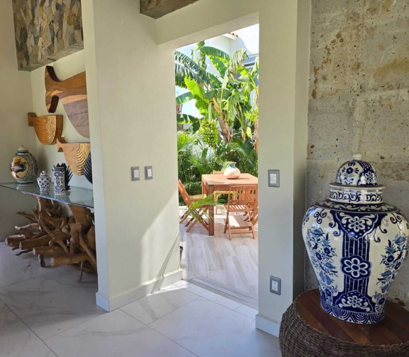 PALAPA 1
