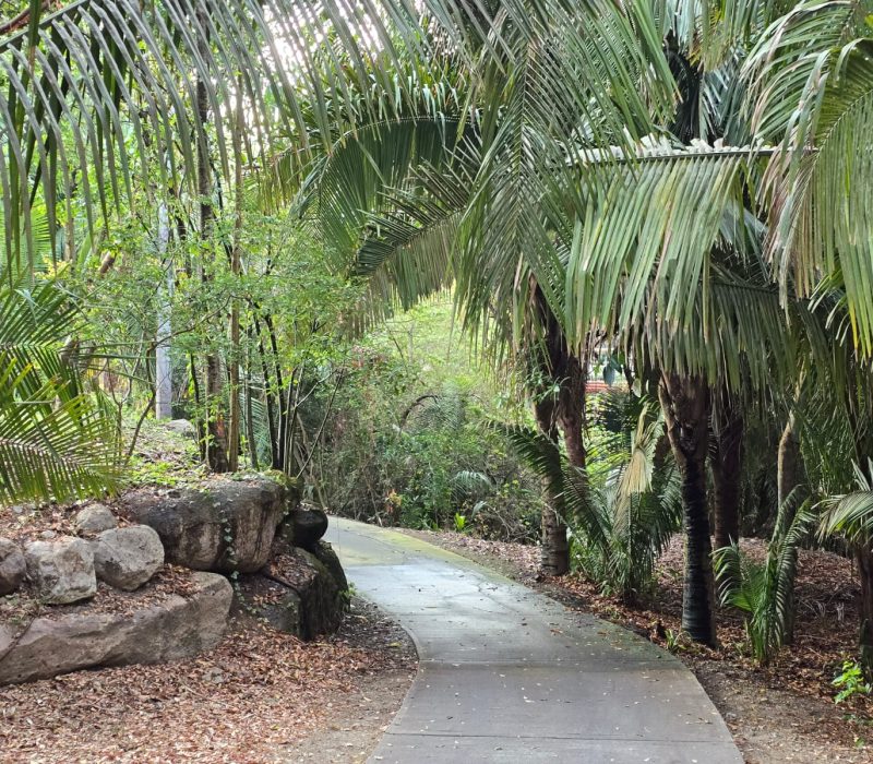 naturaleza-ext9